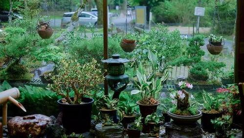 琉璃庭院,梦回古韵,探寻东方园林之美