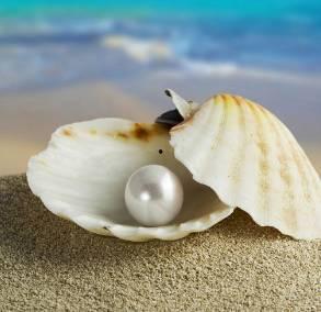 蚌女(珍珠房的秘密),揭开珍珠房的神秘面纱